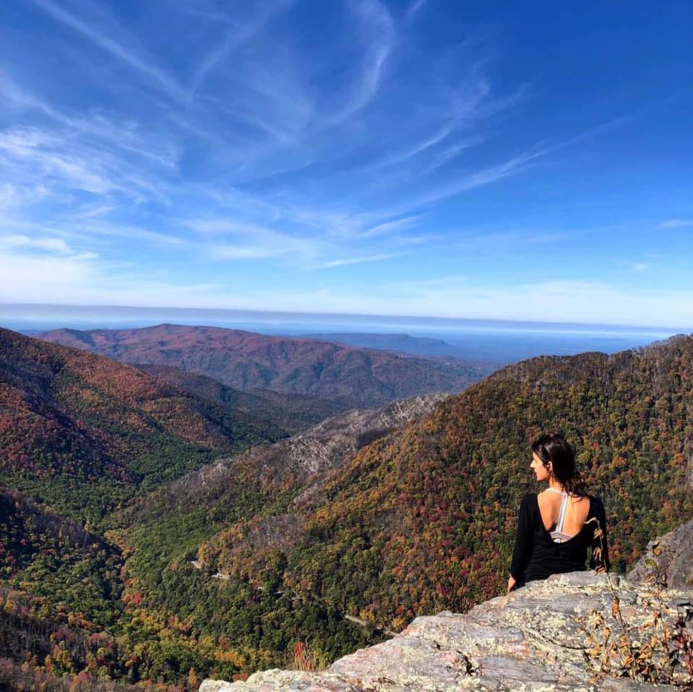 Meet your Posher, Laurie